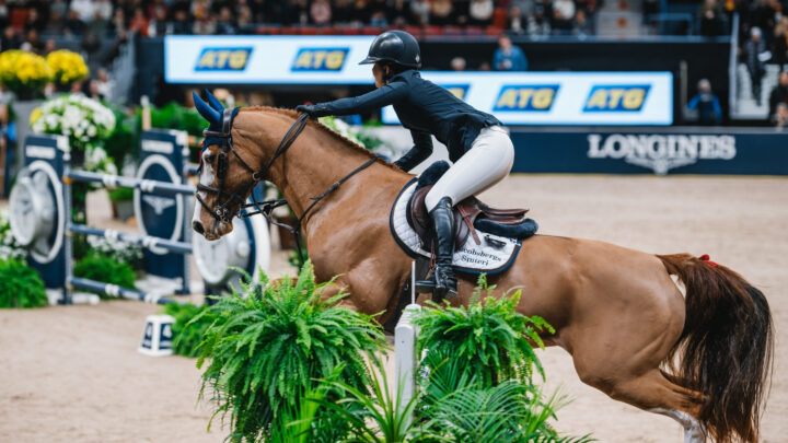 gbg-horse-show-försättsbild