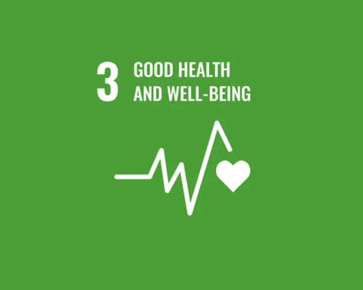 Nummer 3, "Good Health and Well-being", witte lijnen en hartpictogram op groene achtergrond.
