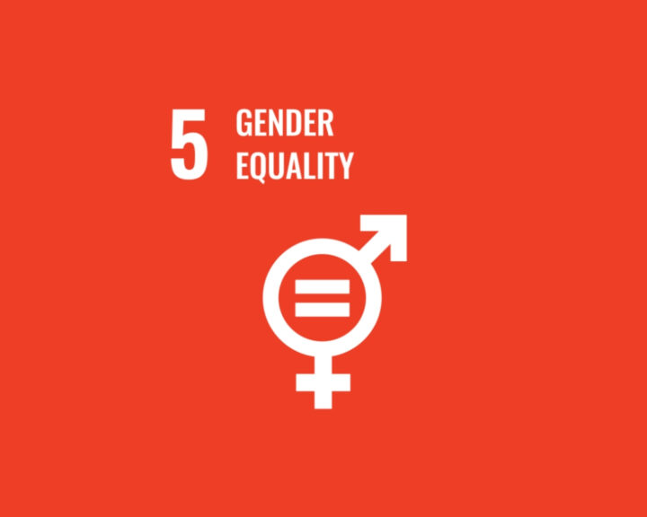 SDG-icoon voor gendergelijkheid, met gelijkheidssymbool op rode achtergrond.