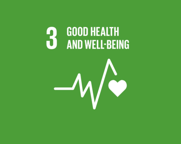 SDG 3 icon: Good Health and Well-being, white heart and heartbeat line on green background.
