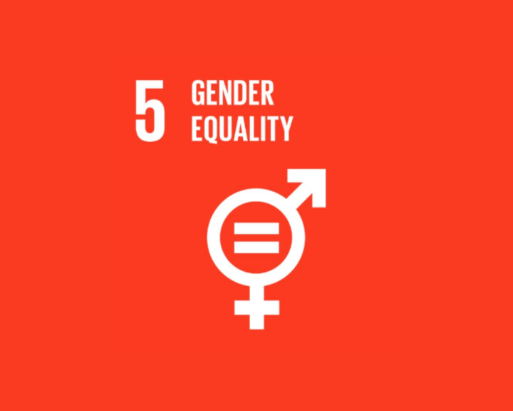 Number 5 Gender Equality icon on red background.