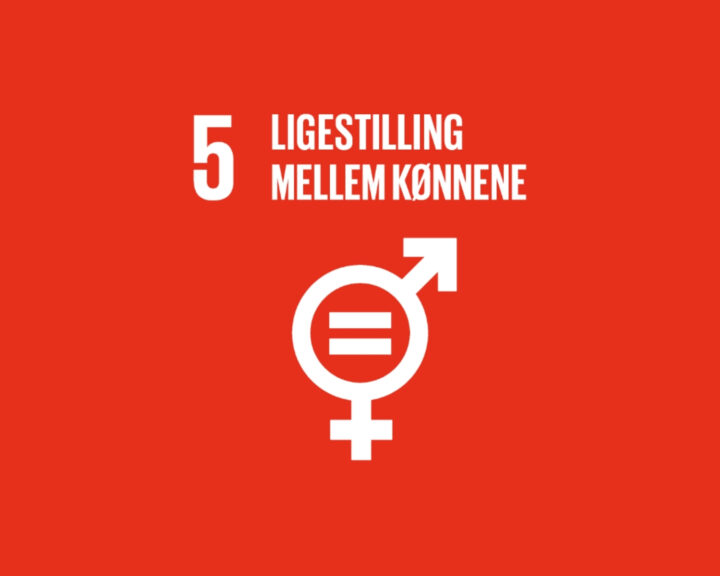 Rød grafik med tekst "5 Ligestilling mellem kønnene" og symbol for kønsligestilling.