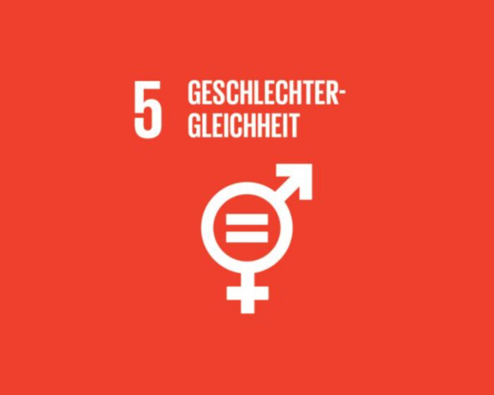 Rotes Icon mit Zahl 5, Text "Geschlechtergleichheit" und Symbol für Gleichstellung der Geschlechter.