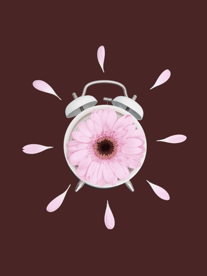 White alarm clock with a pink flower in the centre and petals arranged like clock hands on a brown background.