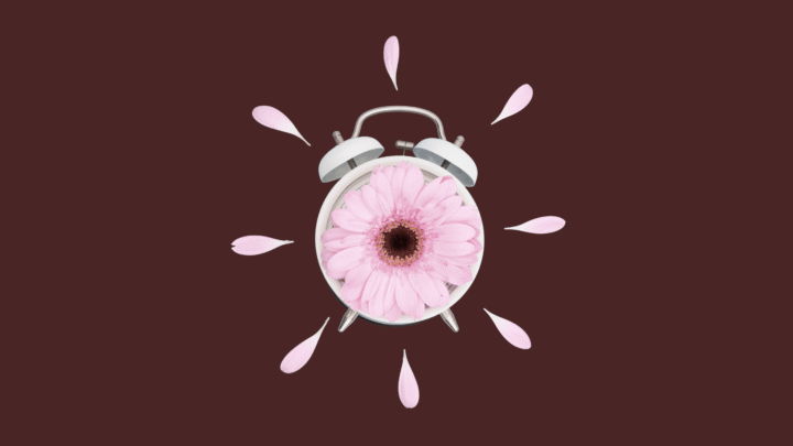 Alarm clock with a pink flower as its face and petals arranged like clock hands on a maroon background.
